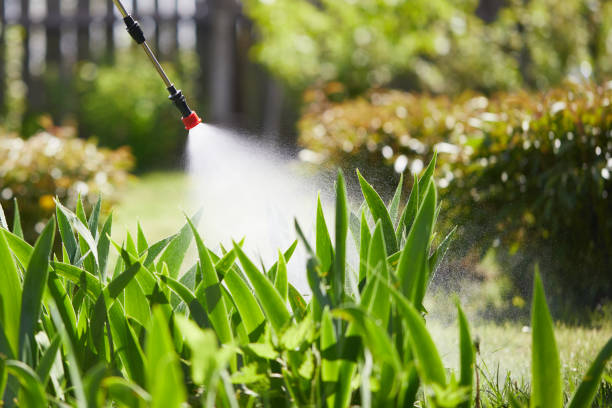 24/7 Emergency Mosquito Control experts in Progress Village, FL