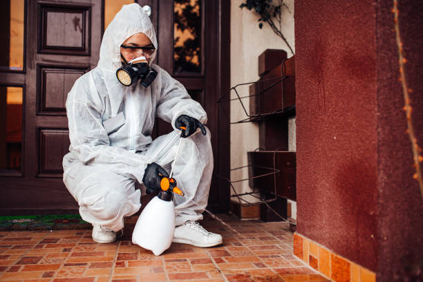 Reliable Mosquito Control contractor in Progress Village, FL by Show Me Pest Control